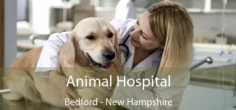 Animal Hospital Bedford - New Hampshire