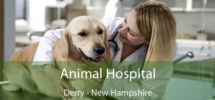 Animal Hospital Derry - New Hampshire