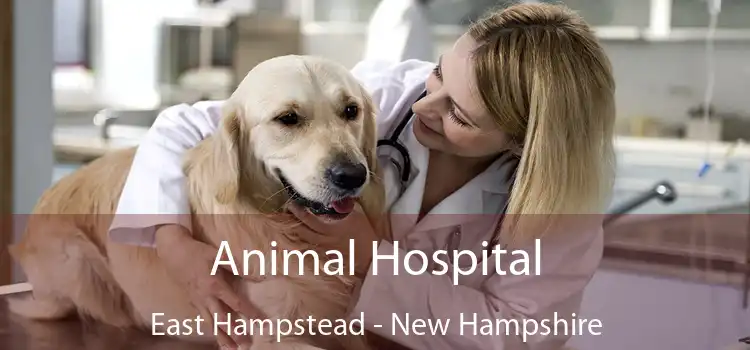 Animal Hospital East Hampstead - New Hampshire