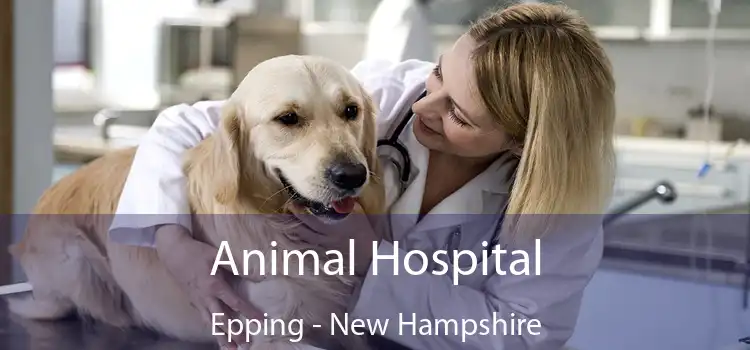 Animal Hospital Epping - New Hampshire