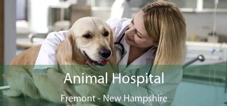 Animal Hospital Fremont - New Hampshire