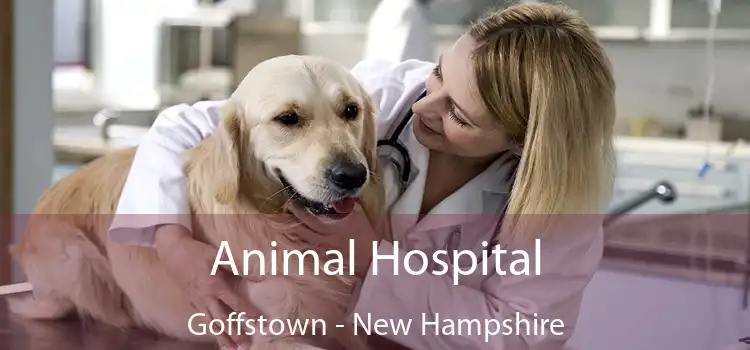 Animal Hospital Goffstown - New Hampshire