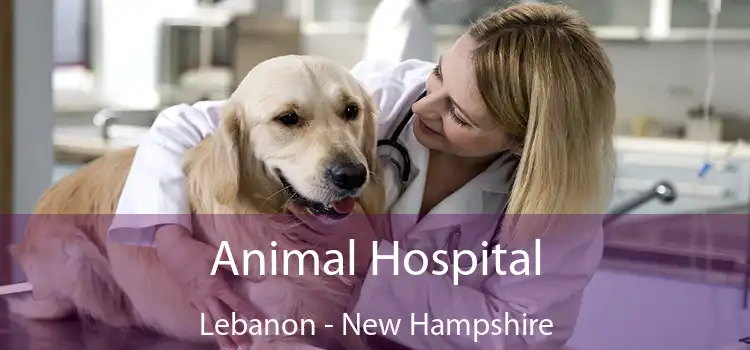 Animal Hospital Lebanon - New Hampshire