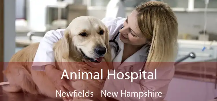 Animal Hospital Newfields - New Hampshire