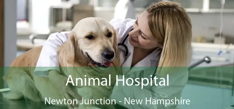 Animal Hospital Newton Junction - New Hampshire