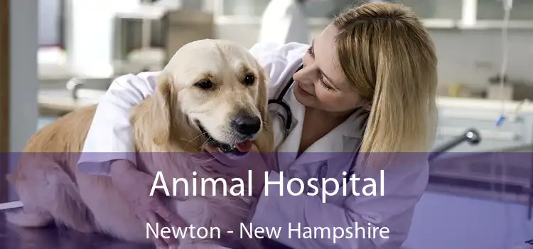 Animal Hospital Newton - New Hampshire