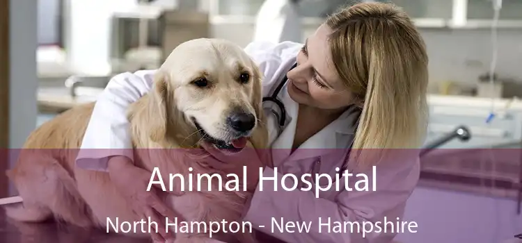 Animal Hospital North Hampton - New Hampshire