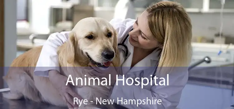 Animal Hospital Rye - New Hampshire