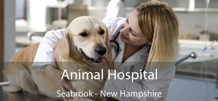 Animal Hospital Seabrook - New Hampshire