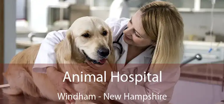 Animal Hospital Windham - New Hampshire