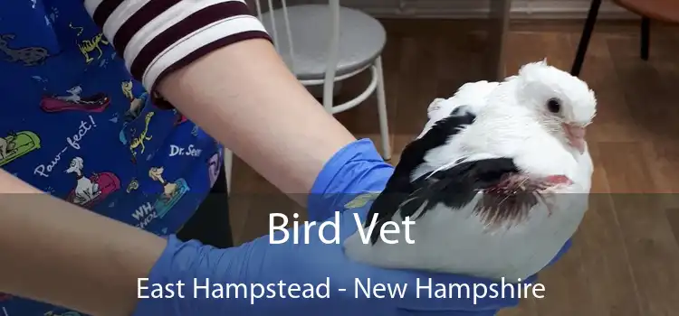 Bird Vet East Hampstead - New Hampshire