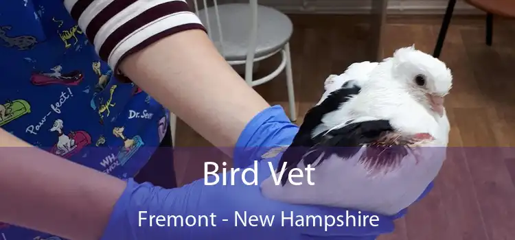 Bird Vet Fremont - New Hampshire