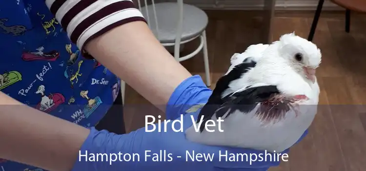 Bird Vet Hampton Falls - New Hampshire