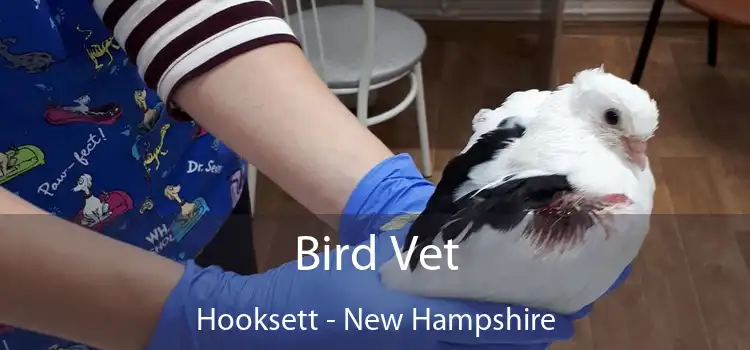 Bird Vet Hooksett - New Hampshire