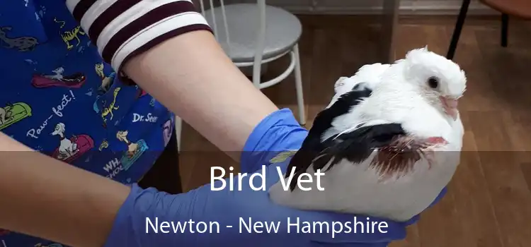 Bird Vet Newton - New Hampshire