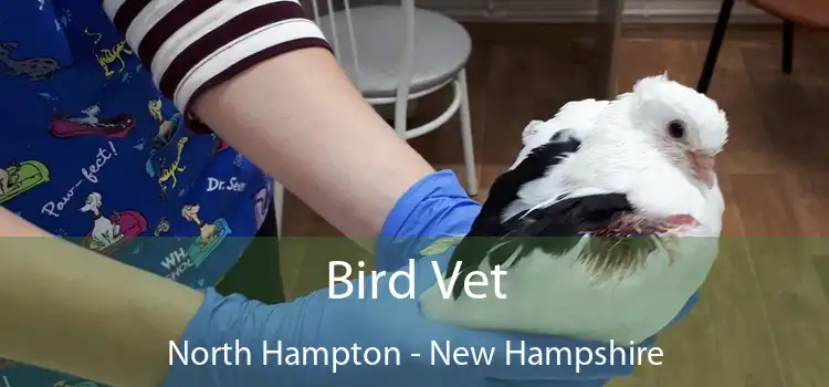 Bird Vet North Hampton - New Hampshire