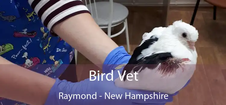 Bird Vet Raymond - New Hampshire