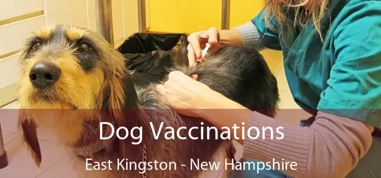 Dog Vaccinations East Kingston - New Hampshire