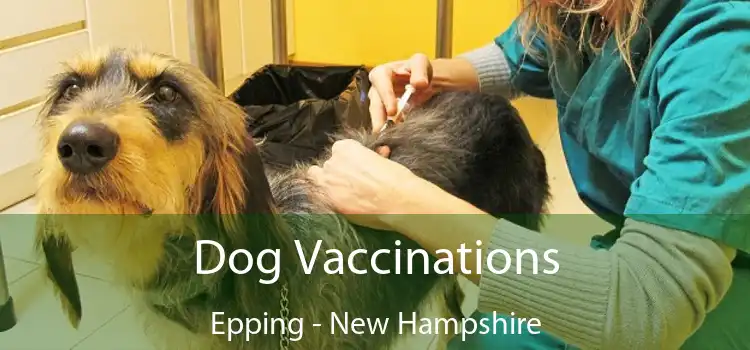 Dog Vaccinations Epping - New Hampshire