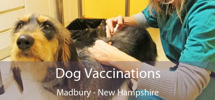 Dog Vaccinations Madbury - New Hampshire