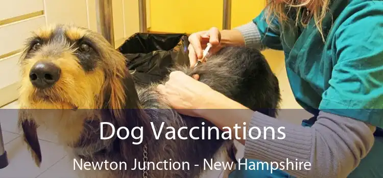 Dog Vaccinations Newton Junction - New Hampshire