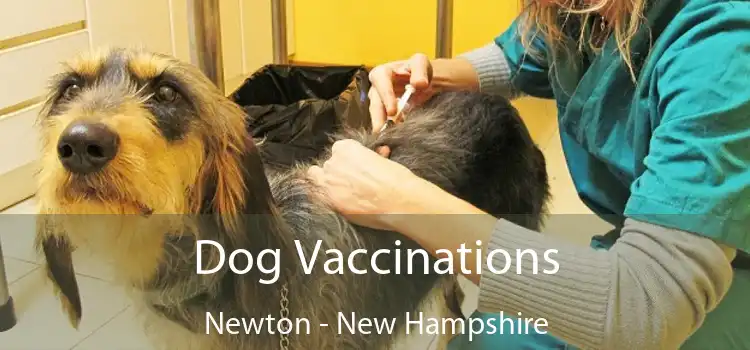 Dog Vaccinations Newton - New Hampshire