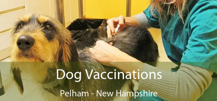 Dog Vaccinations Pelham - New Hampshire