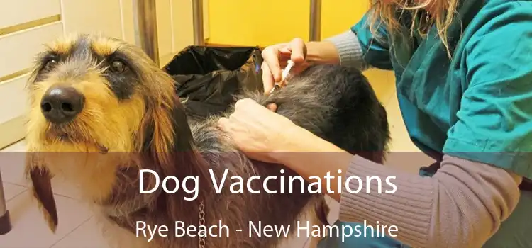 Dog Vaccinations Rye Beach - New Hampshire