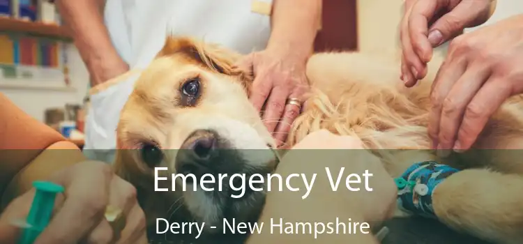 Emergency Vet Derry - New Hampshire