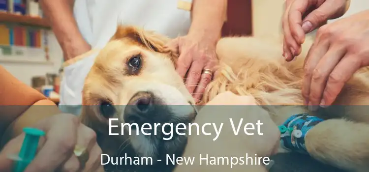 Emergency Vet Durham - New Hampshire