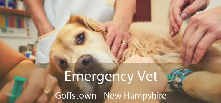 Emergency Vet Goffstown - New Hampshire