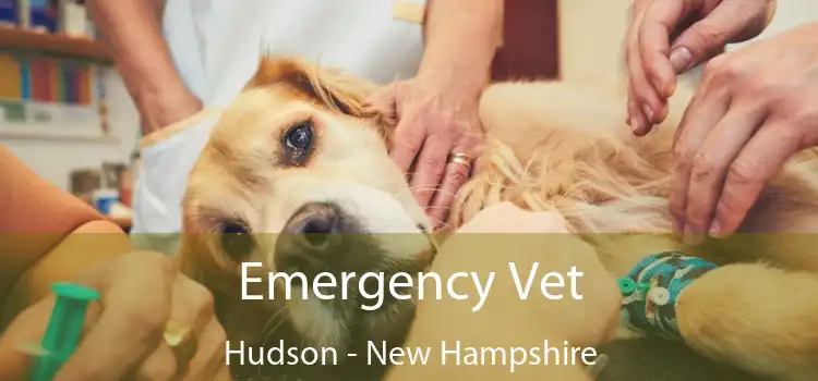 Emergency Vet Hudson - New Hampshire