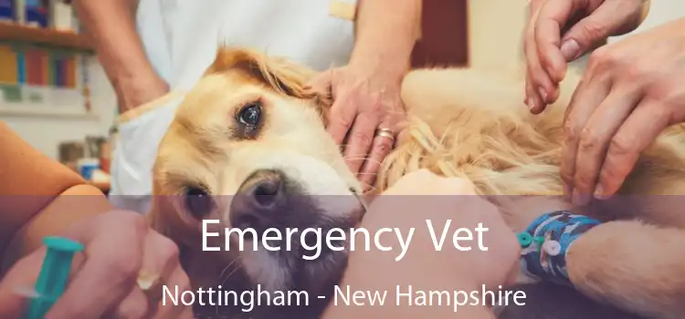 Emergency Vet Nottingham - New Hampshire