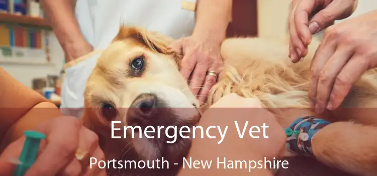 Emergency Vet Portsmouth - New Hampshire