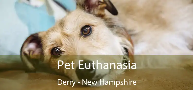 Pet Euthanasia Derry - New Hampshire