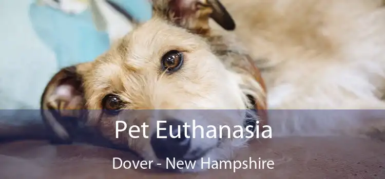 Pet Euthanasia Dover - New Hampshire