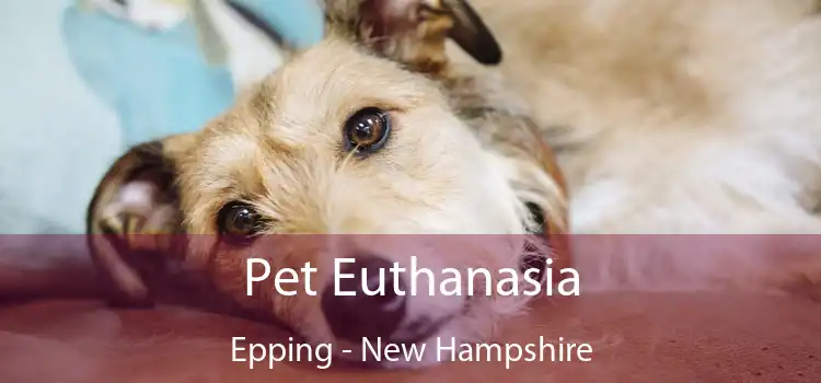 Pet Euthanasia Epping - New Hampshire