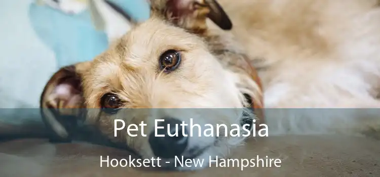 Pet Euthanasia Hooksett - New Hampshire