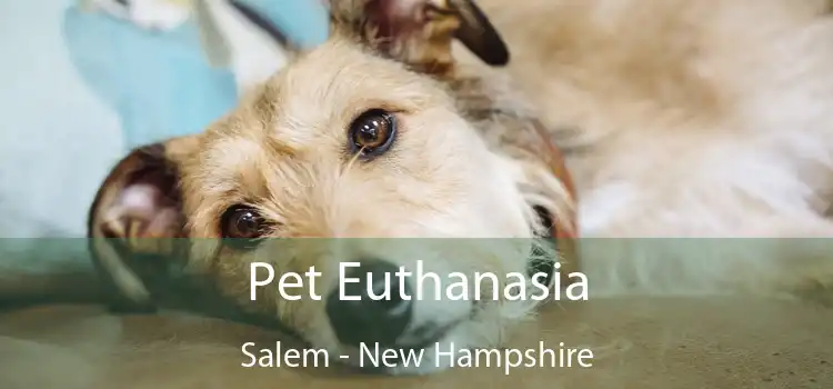 Pet Euthanasia Salem - New Hampshire