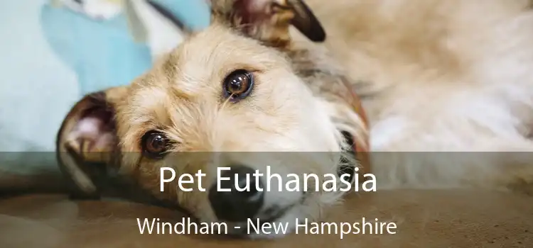 Pet Euthanasia Windham - New Hampshire