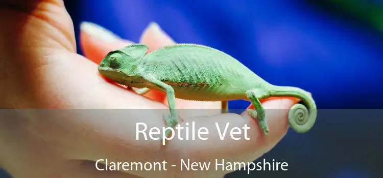 Reptile Vet Claremont - New Hampshire