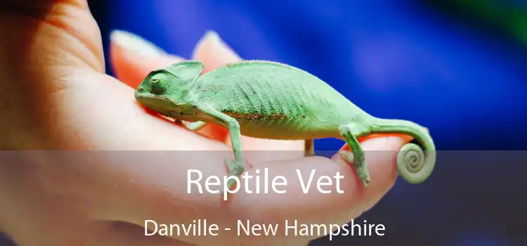 Reptile Vet Danville - New Hampshire