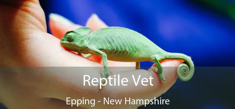 Reptile Vet Epping - New Hampshire