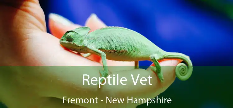 Reptile Vet Fremont - New Hampshire