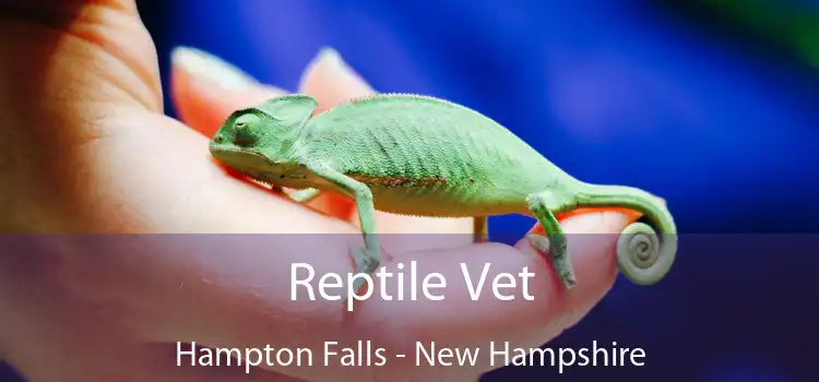 Reptile Vet Hampton Falls - New Hampshire