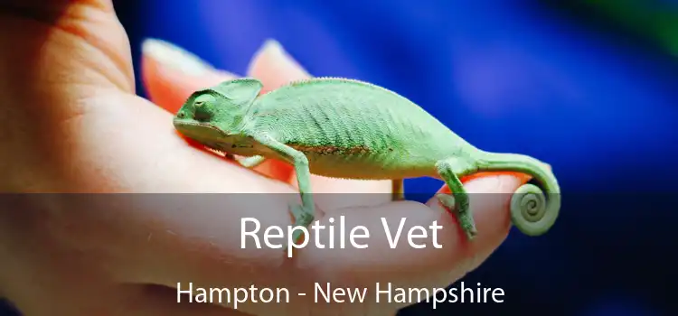 Reptile Vet Hampton - New Hampshire