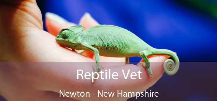 Reptile Vet Newton - New Hampshire