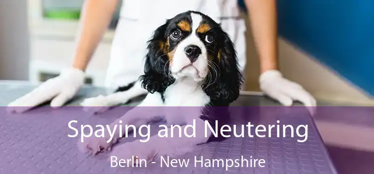 Spaying and Neutering Berlin - New Hampshire