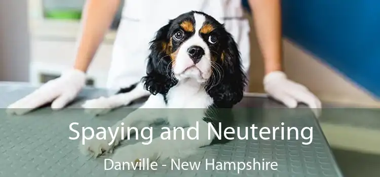 Spaying and Neutering Danville - New Hampshire