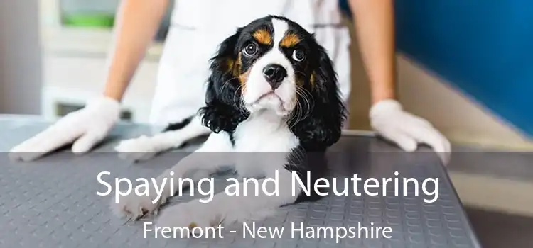 Spaying and Neutering Fremont - New Hampshire